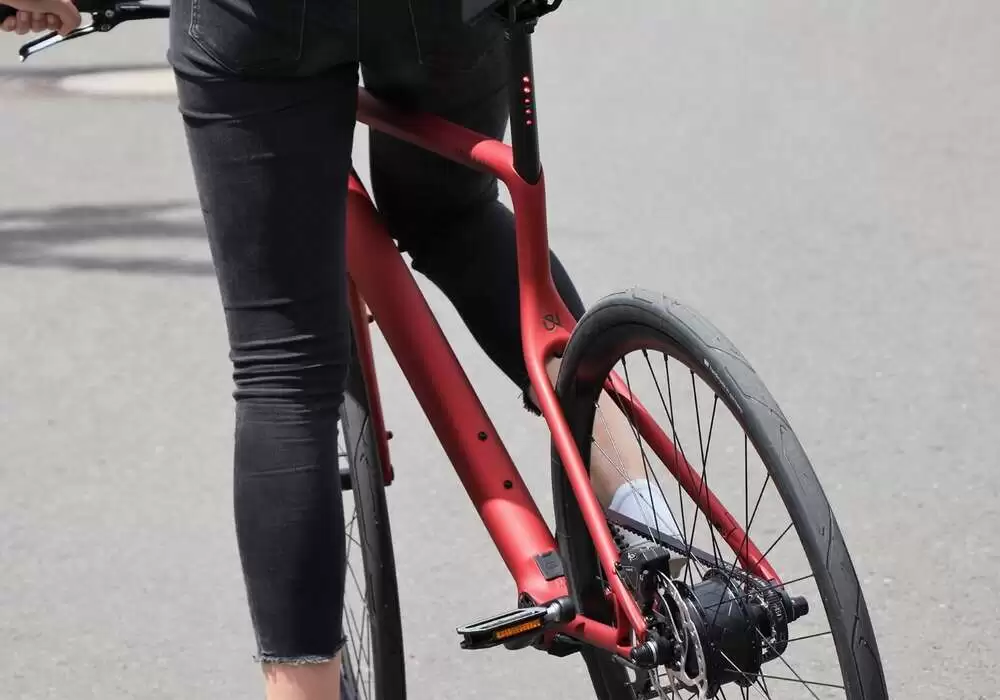 Urwahn Bikes - Waldwiesel